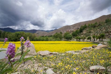 山南|山南市旅游发展局